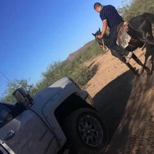 Meet your Posher, Mike